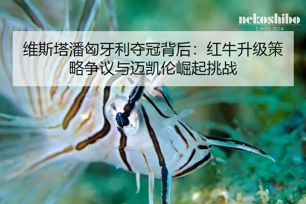 维斯塔潘匈牙利夺冠背后：红牛升级策略争议与迈凯伦崛起挑战