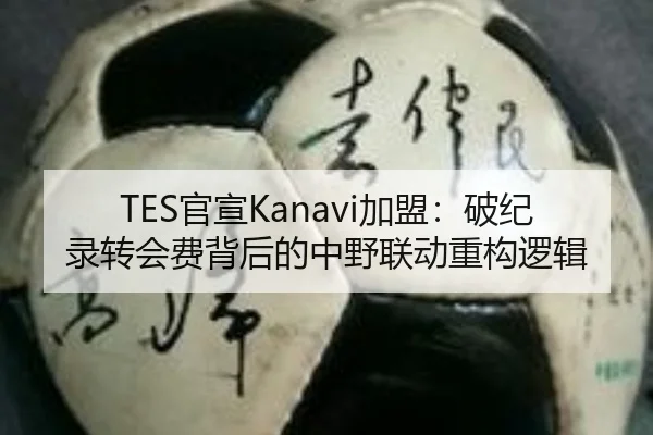 TES官宣Kanavi加盟：破纪录转会费背后的中野联动重构逻辑